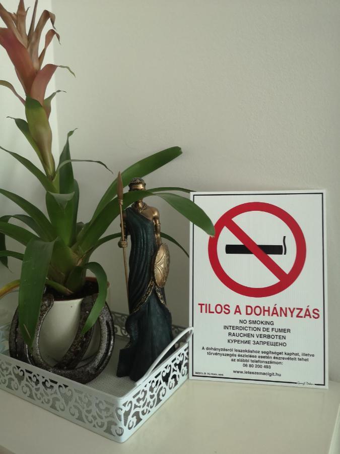 Csillag ház Appartamento Mosonmagyaróvár Esterno foto
